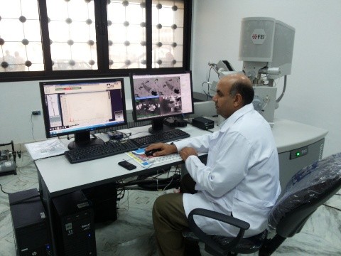 Scanning electron microscope (SEM)